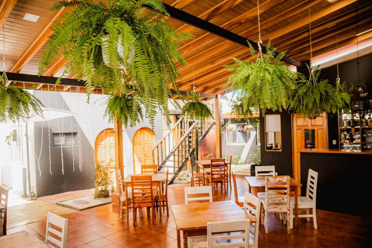 Luz De Luna Hotel Barrio Escalante San José Kültér fotó